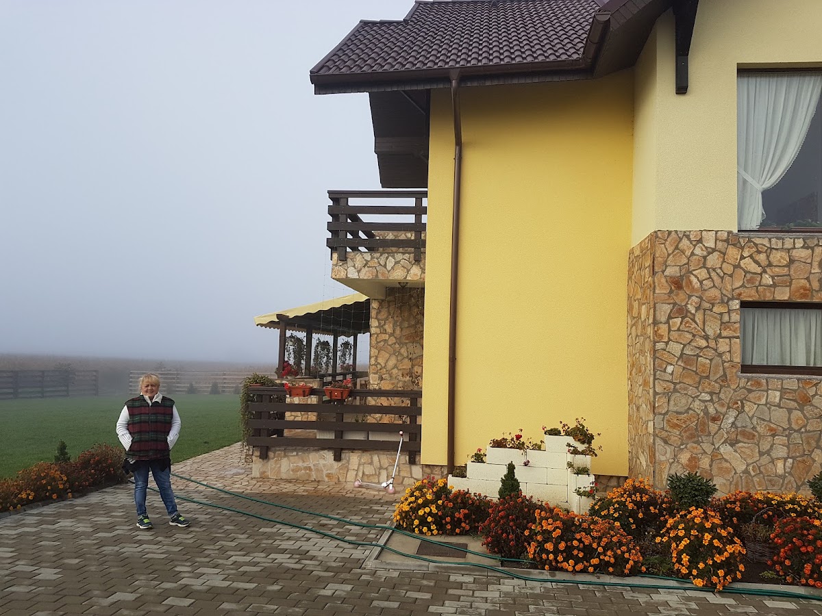 Dor de casa