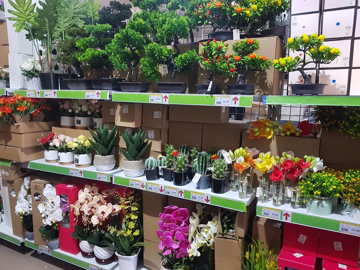 Doraly Expo Market - foto 5