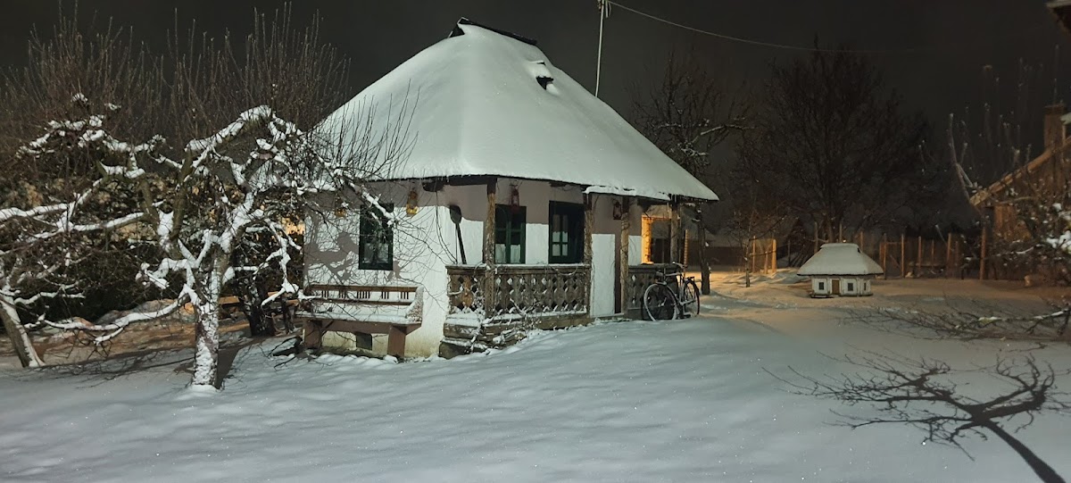 Dranița de Bucovina - foto 4