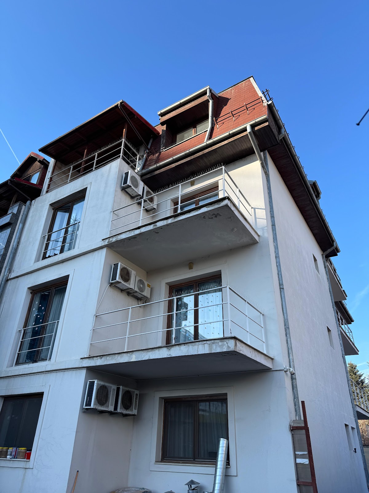 Dream Star Hostel