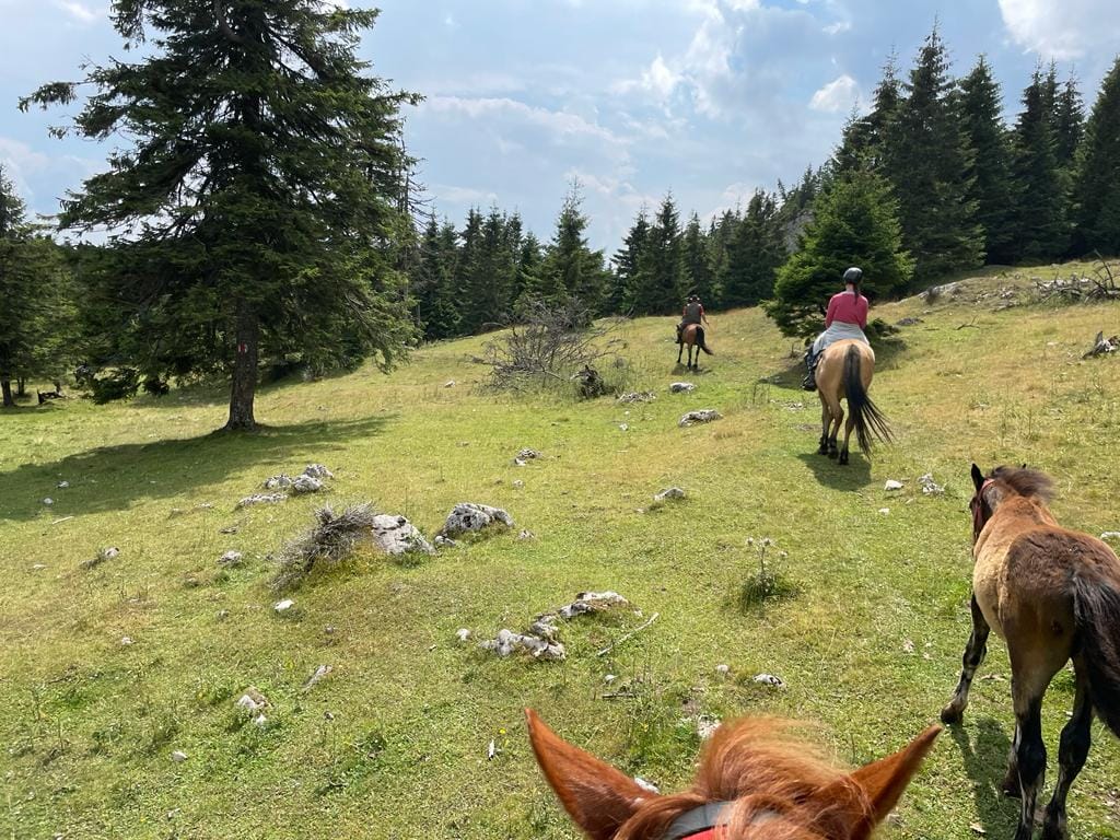 Escursioni a Cavallo - foto 3