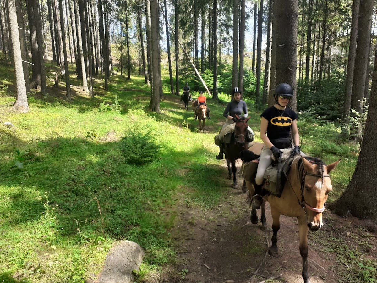 Escursioni a Cavallo - foto 4