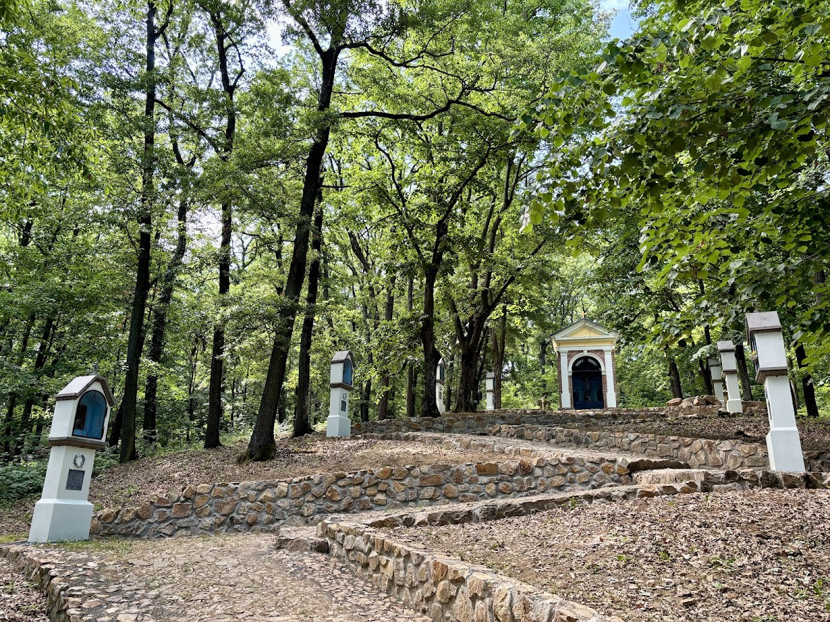 Chemin de la Croix - Monastère Maria Radna - foto 2