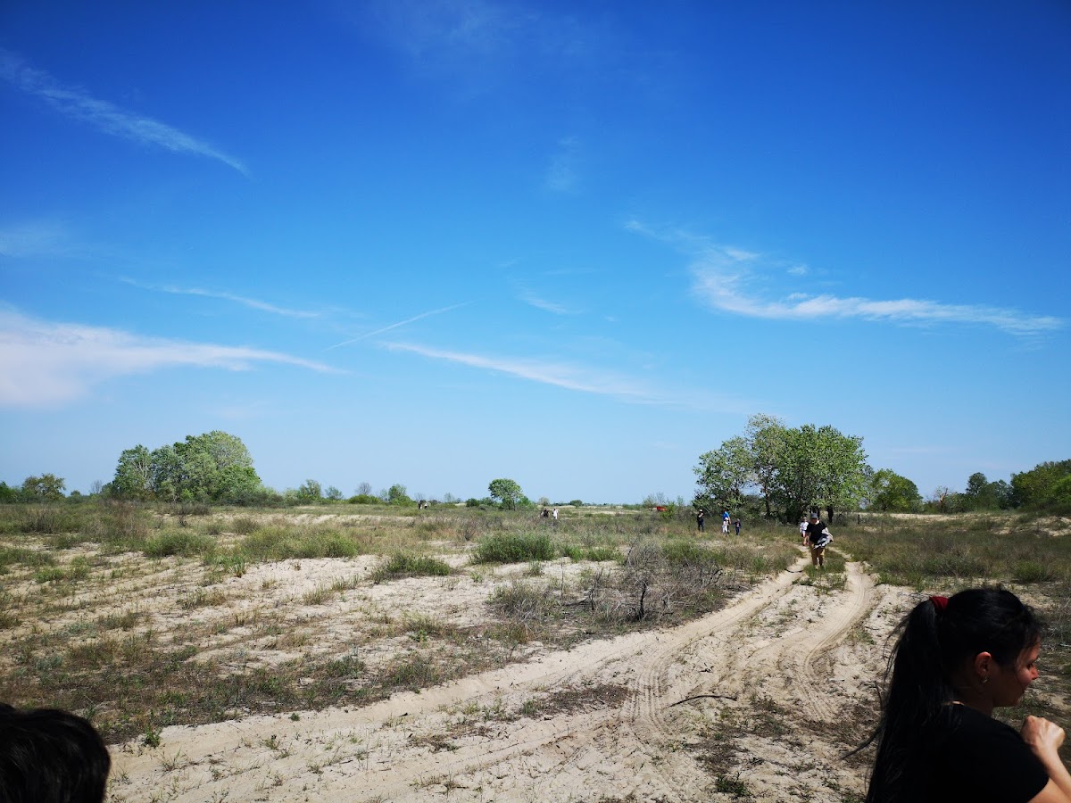 Dune di Sabbia di Caraorman - foto 4