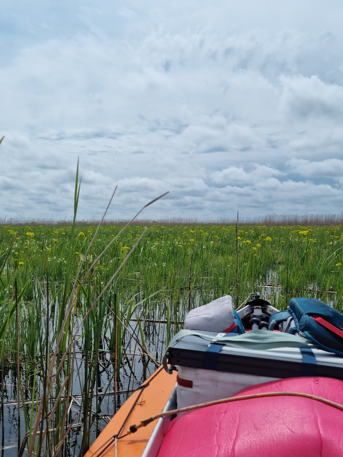 Dune di Sabbia di Caraorman - foto 5