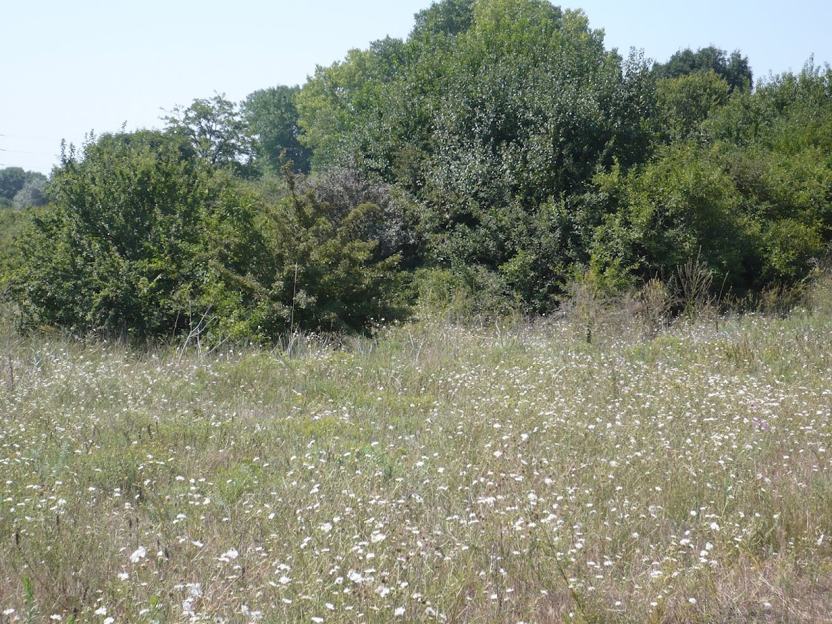Agigea Marine Dunes - foto 2