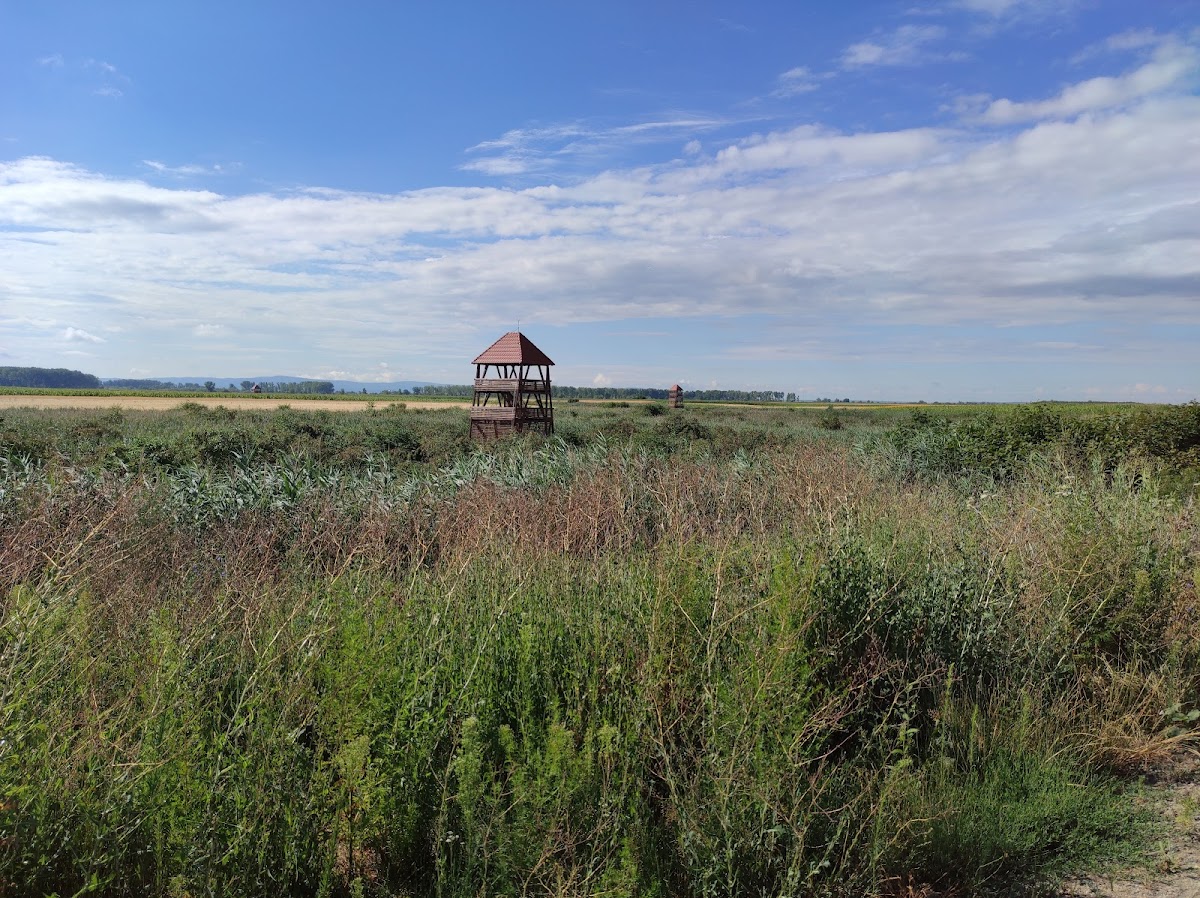 Ecocentru Magia Someșului - foto 2