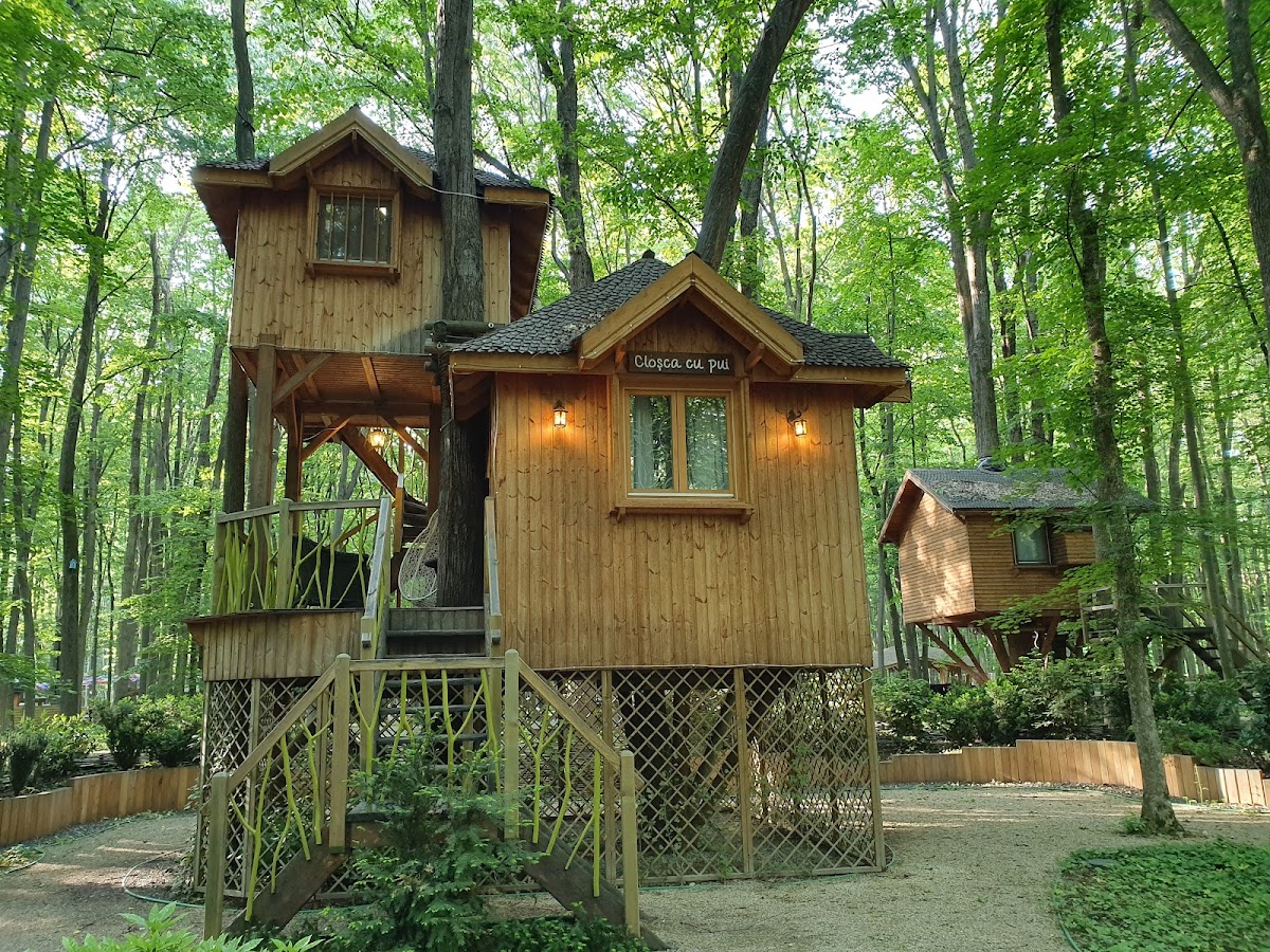 Edenland Park - foto 2