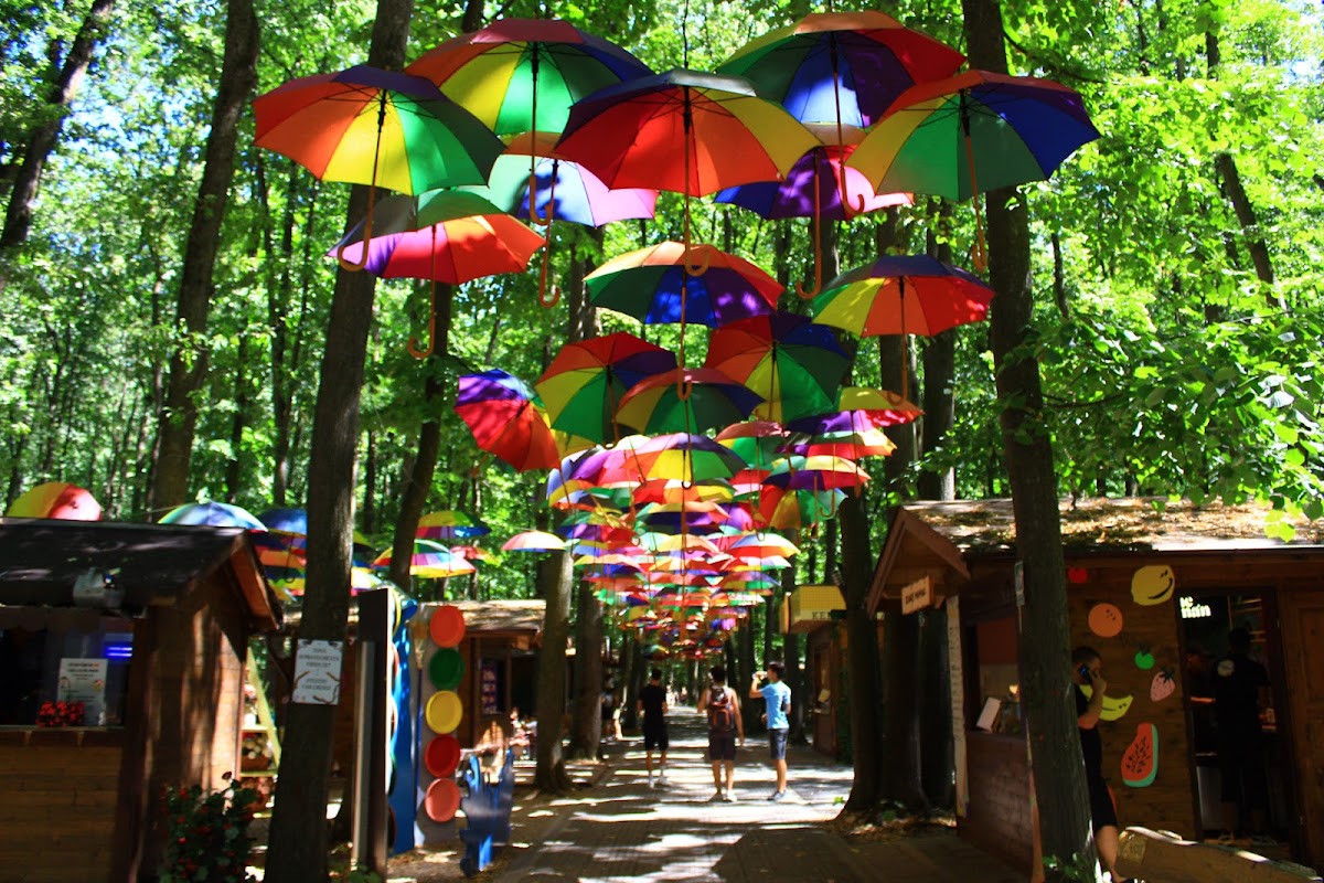 Edenland Park - foto 3