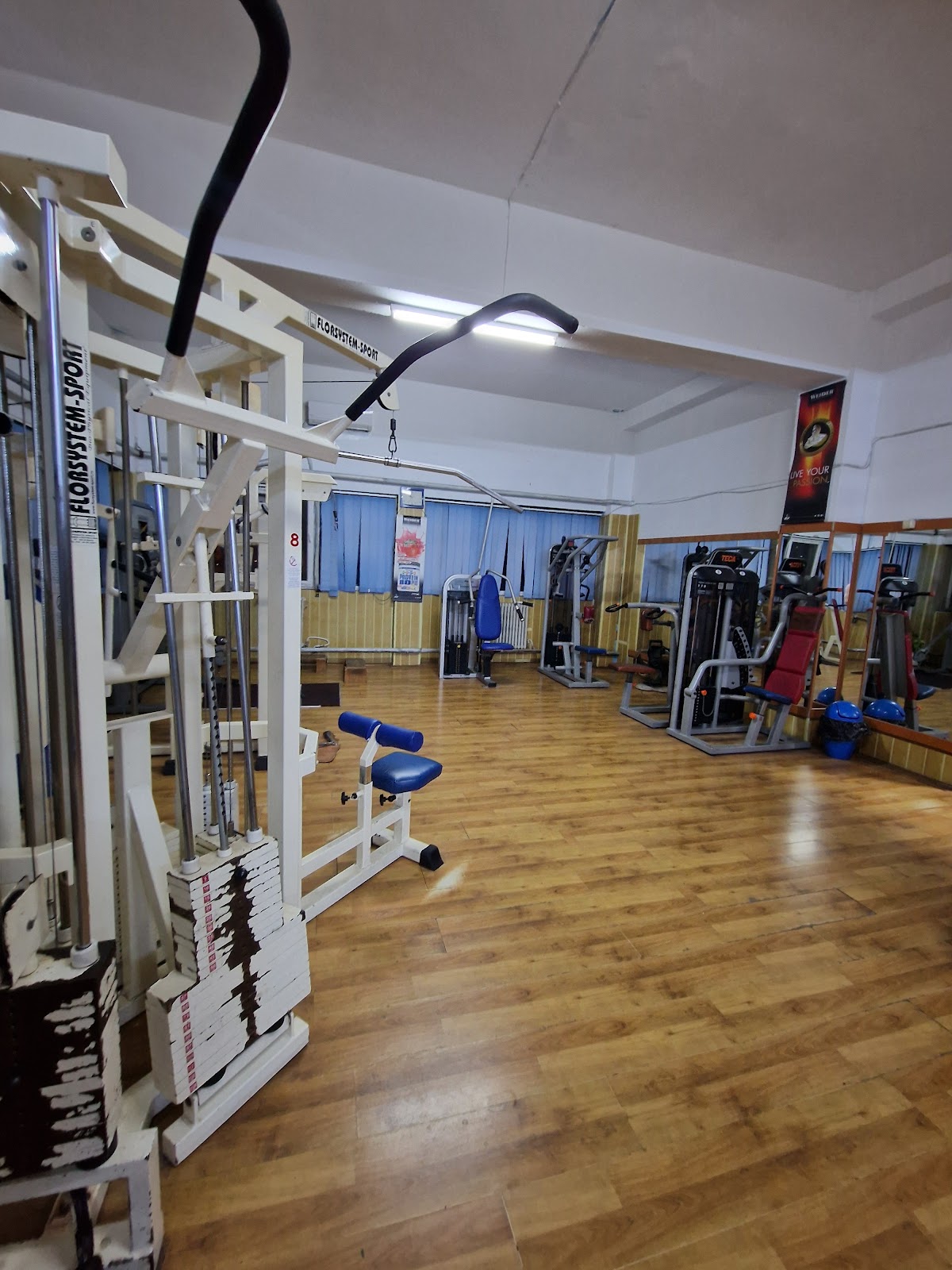 Edy Gym - foto 4