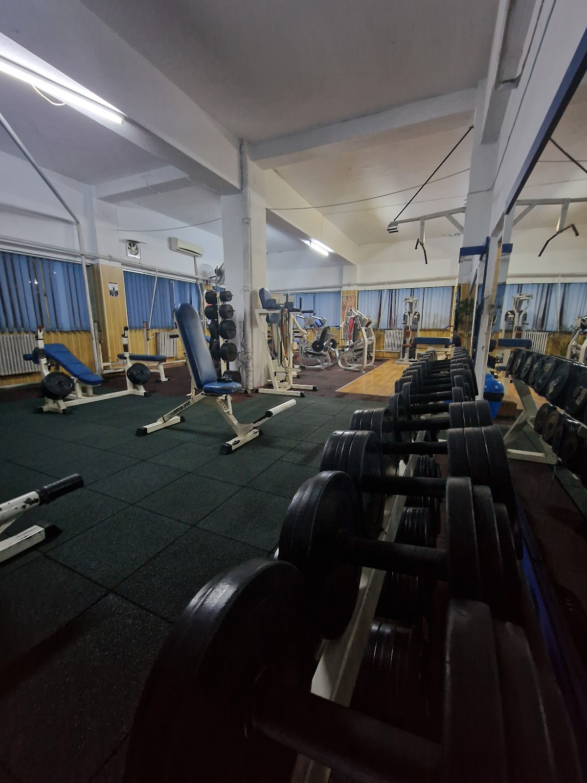 Edy Gym - foto 5
