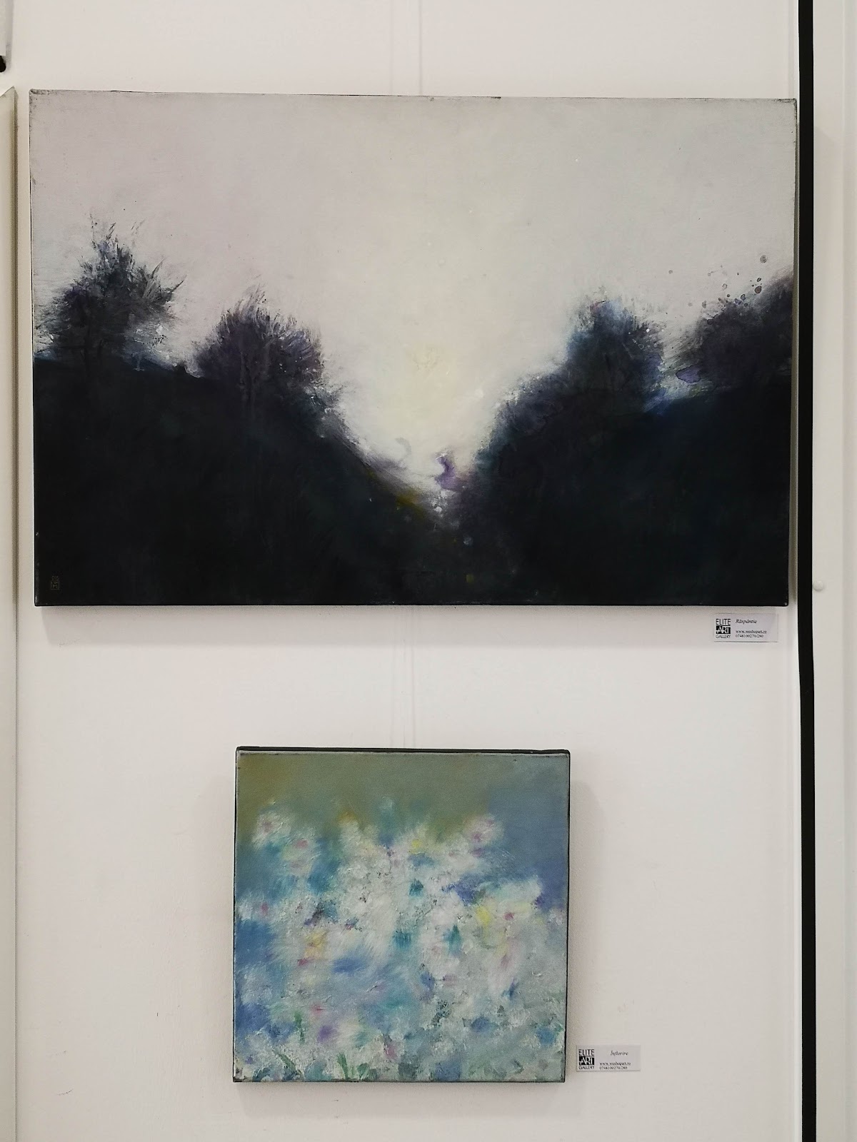 Elite Art Gallery - foto 4