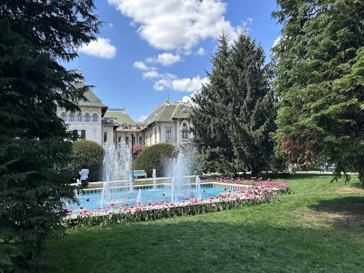 English Park - foto 5