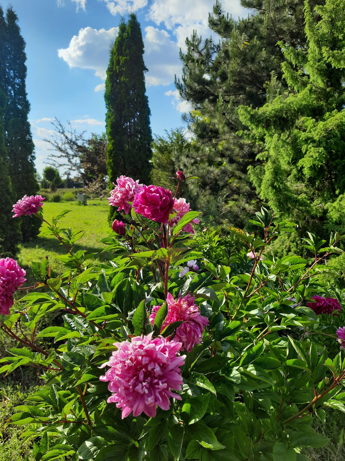 Eutopia Gardens Foundation - Parcul Eutopia - foto 2