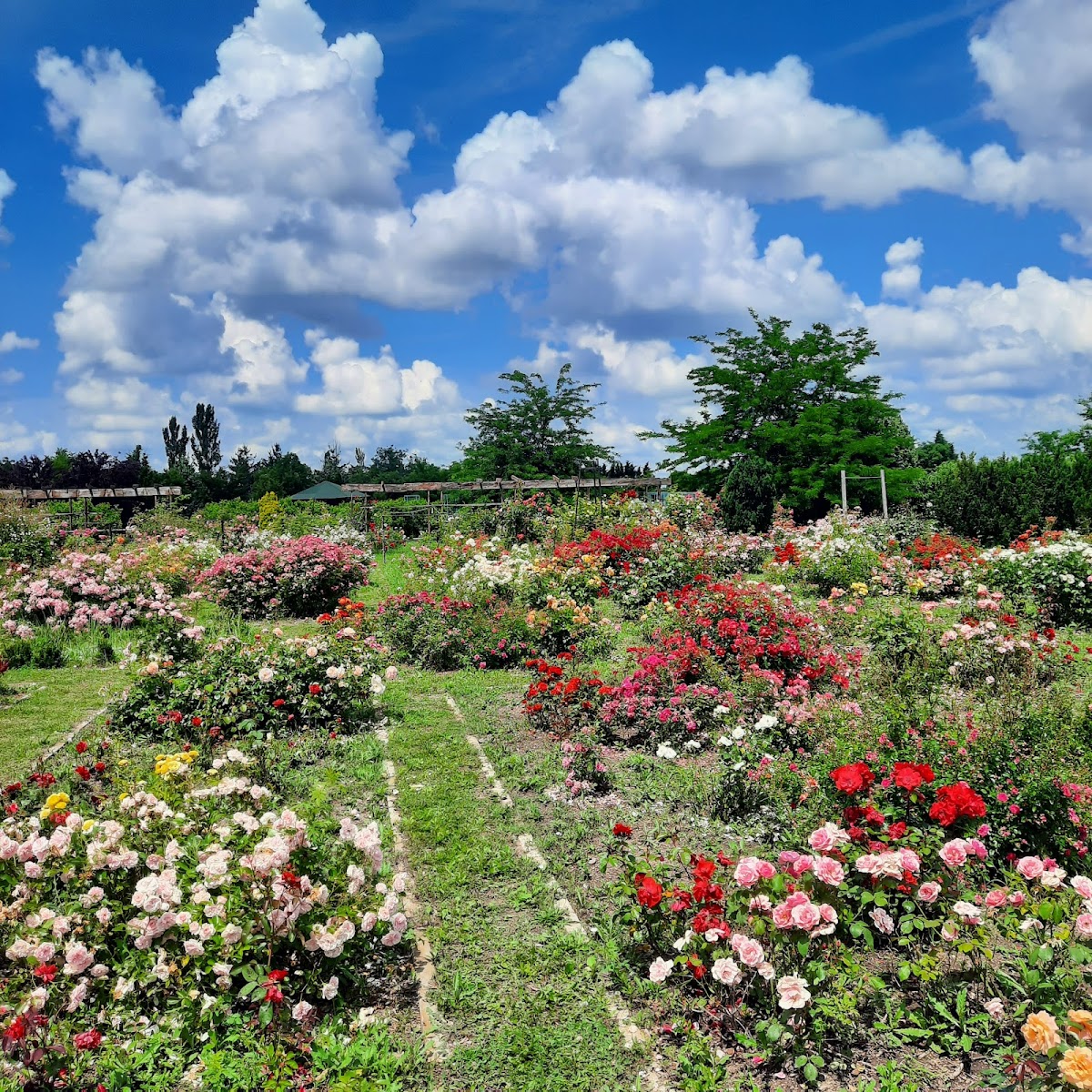 Eutopia Gardens Foundation - Parcul Eutopia - foto 4