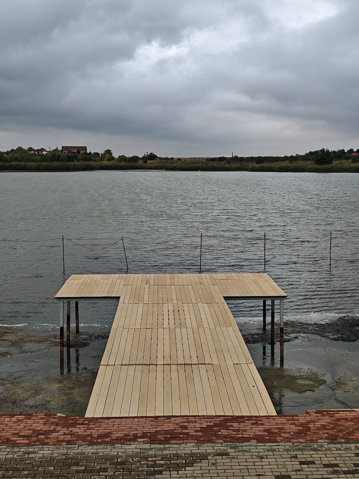 EverGreen Events - foto 3