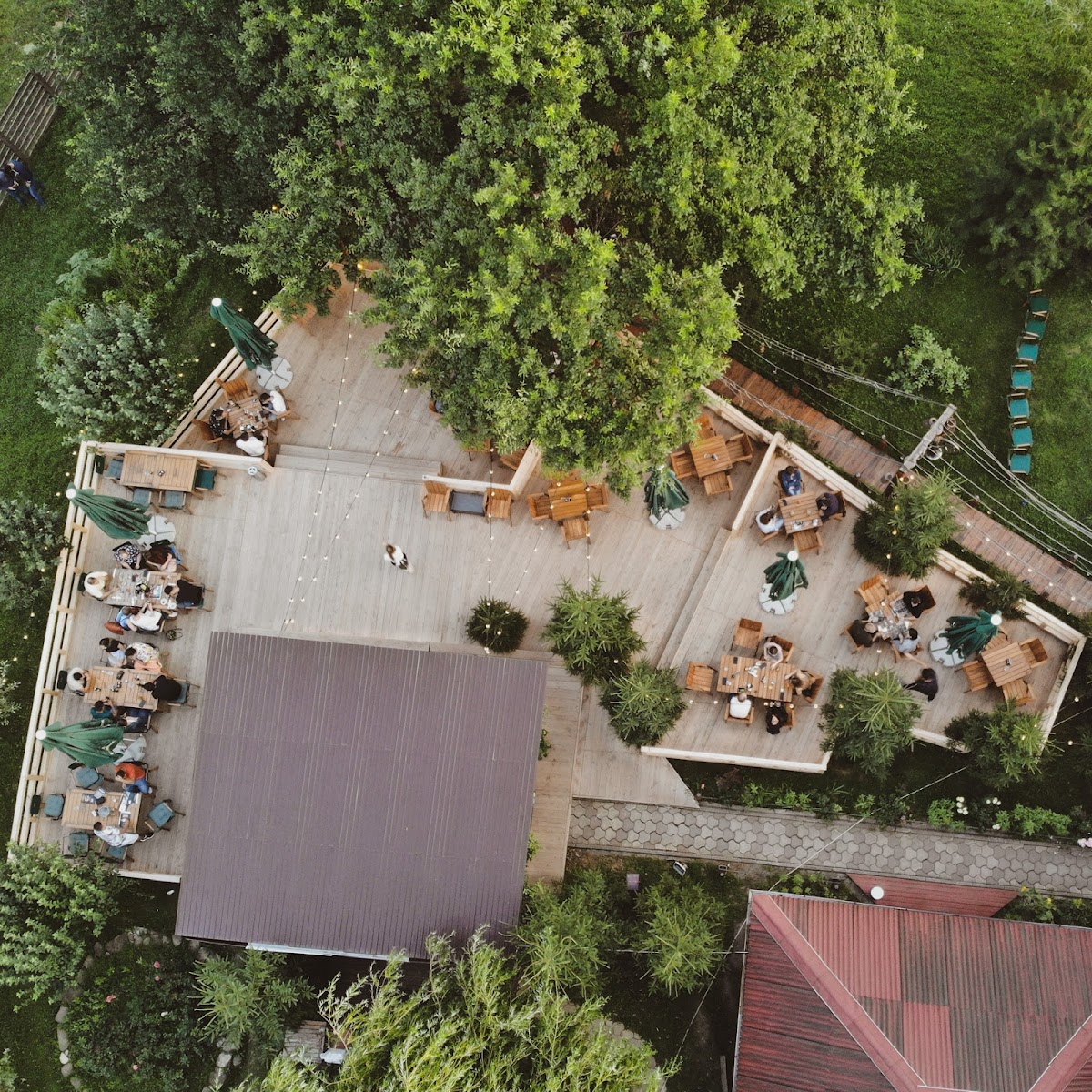 Excelentza & Social Lounge - foto 1