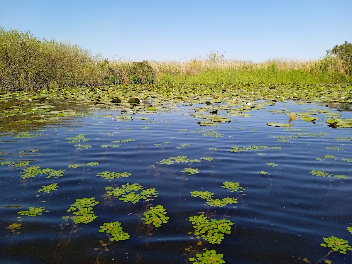 Excursions dans le Delta du Danube | Itinéraires et destinations uniques - foto 2