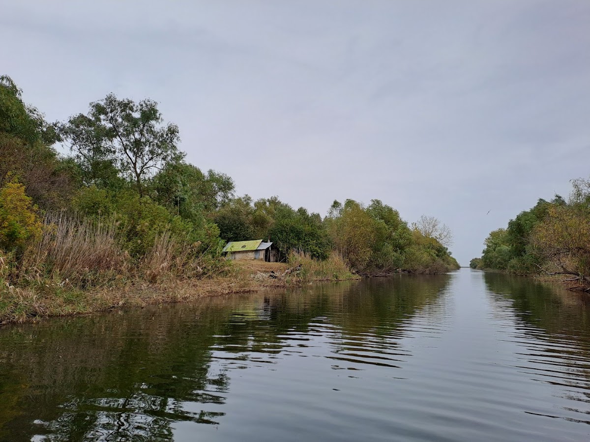 Excursions dans le Delta du Danube | Itinéraires et destinations uniques - foto 4
