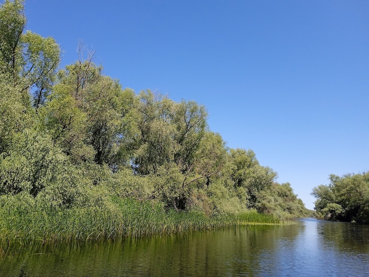 Excursions dans le Delta du Danube | Itinéraires et destinations uniques - foto 5