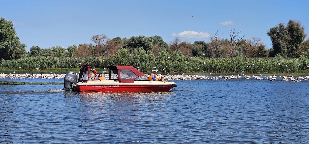 Excursions dans le Delta du Danube | Offres et Itinéraires 2026 - foto 3