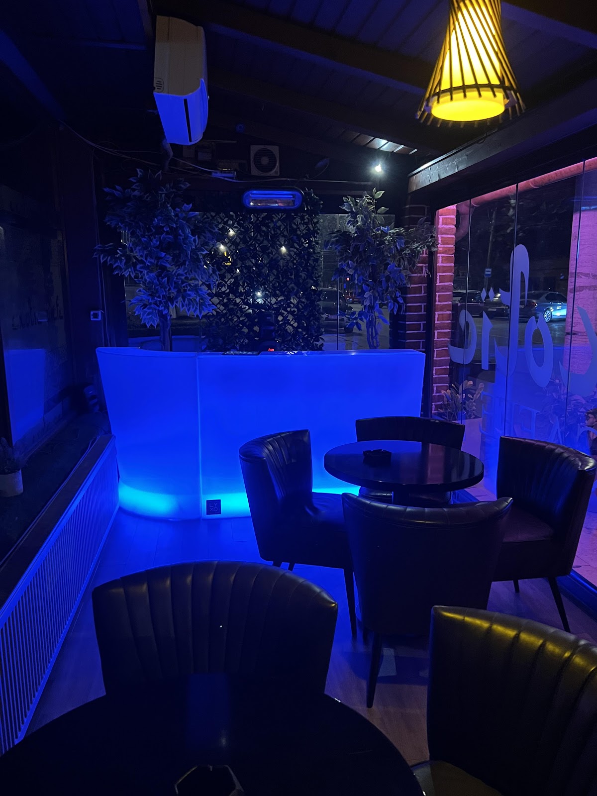 Exotic Club - foto 3