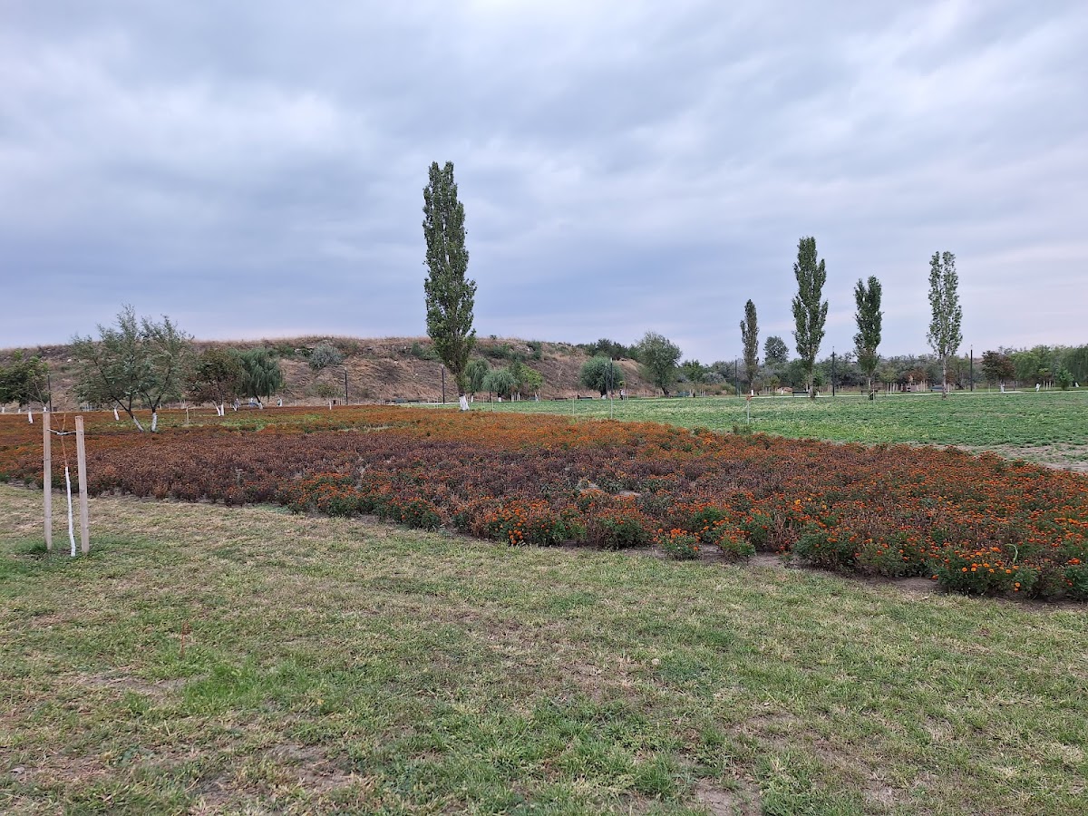 Extindere Parcul Tineretului - foto 4