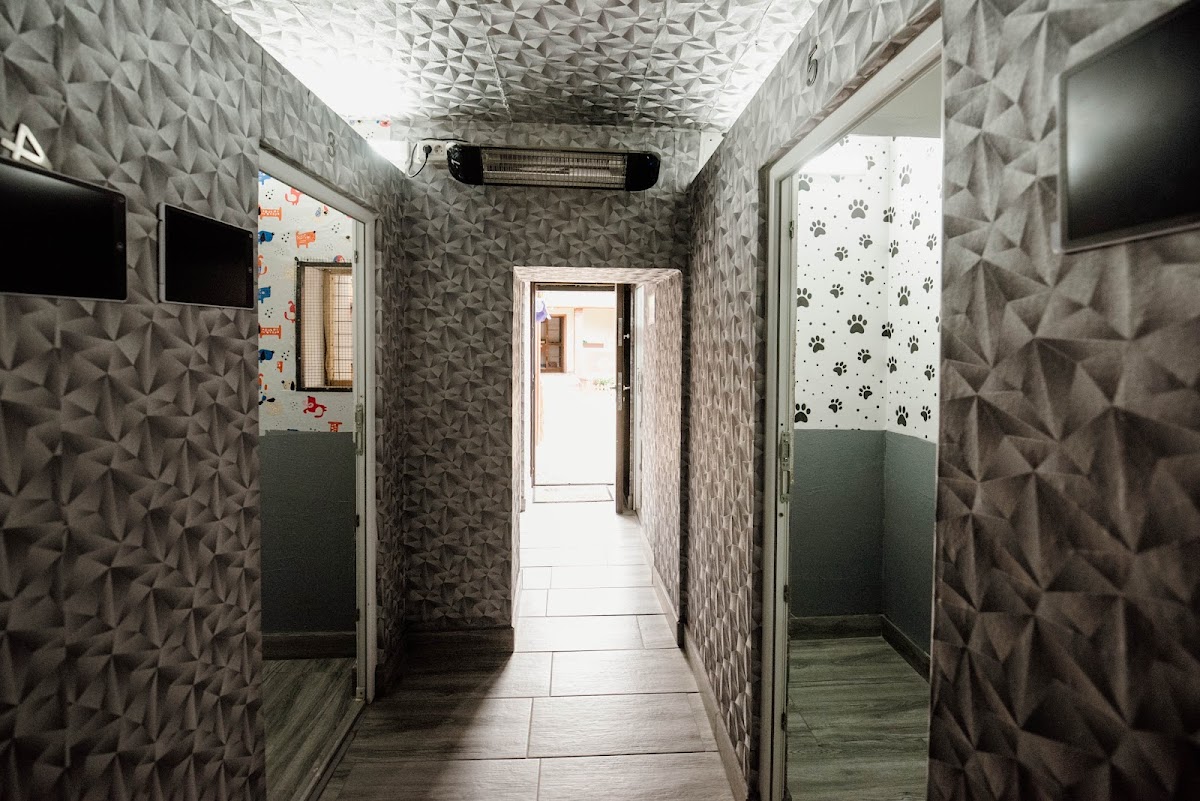 Fabiss Pet Residence Timisoara