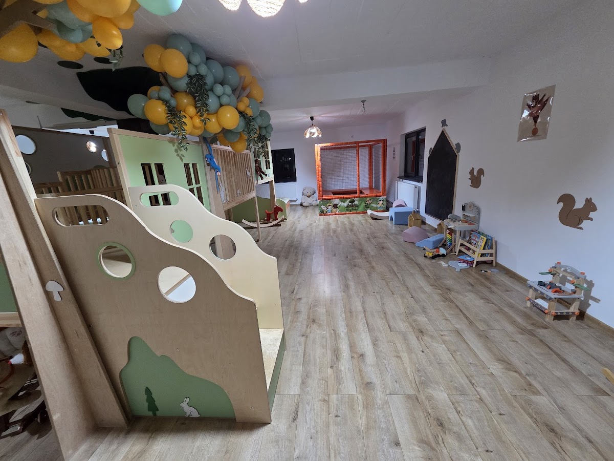 Forêt Enchantée Clinceni