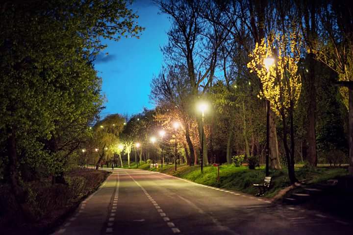 Faleza Inferioară - foto 3