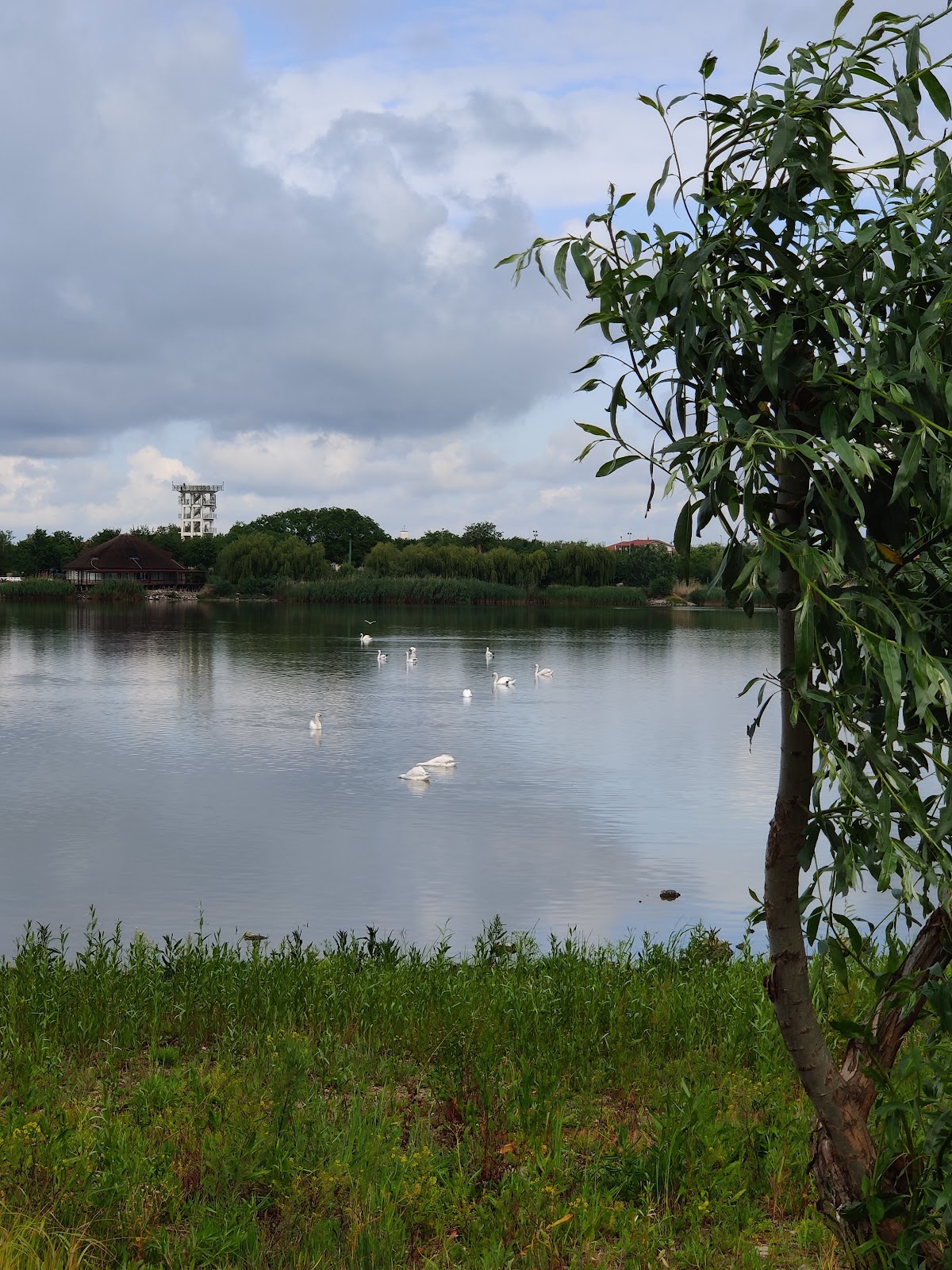 Faleza Murighiol - foto 1