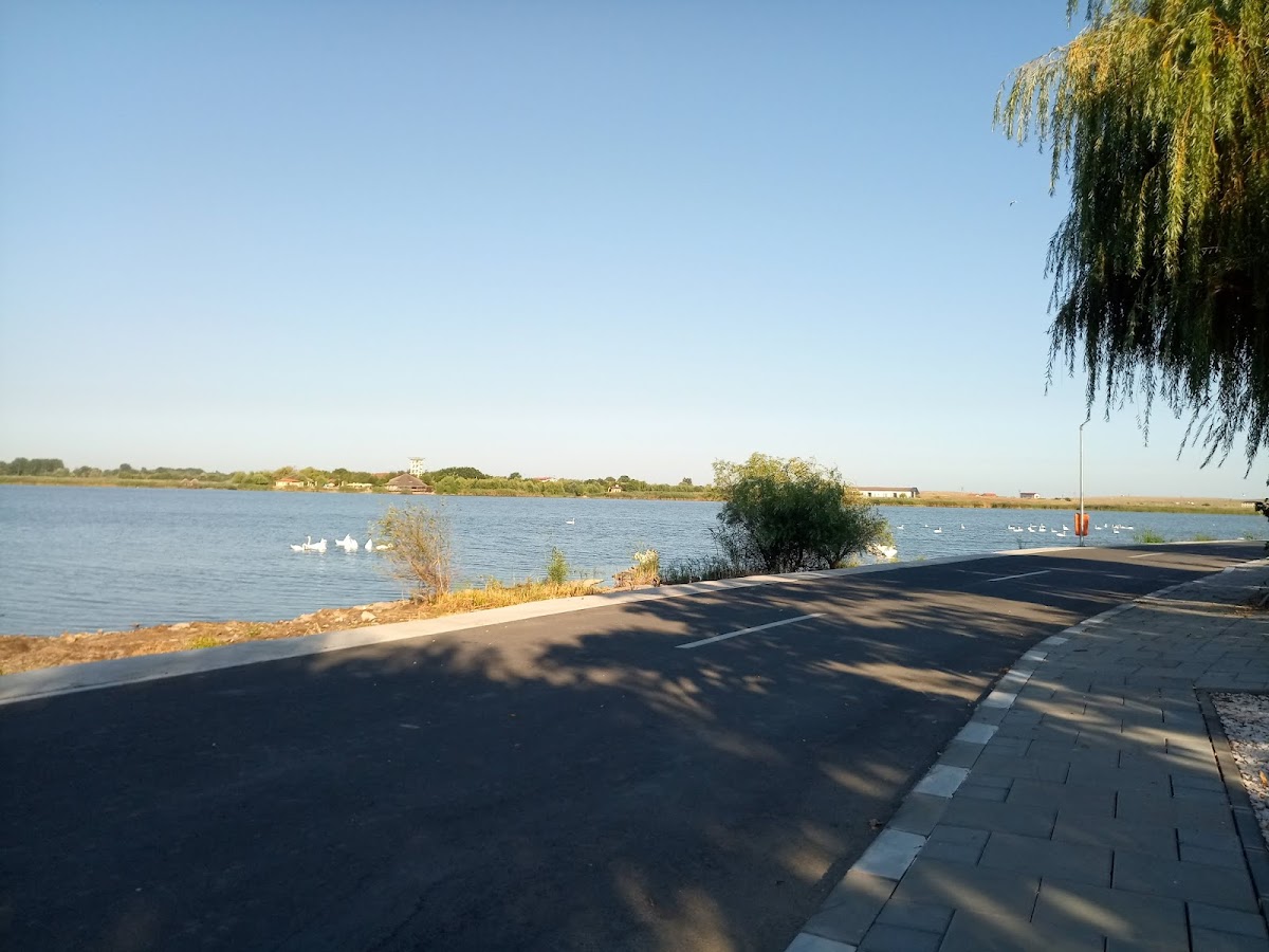 Faleza Murighiol - foto 4