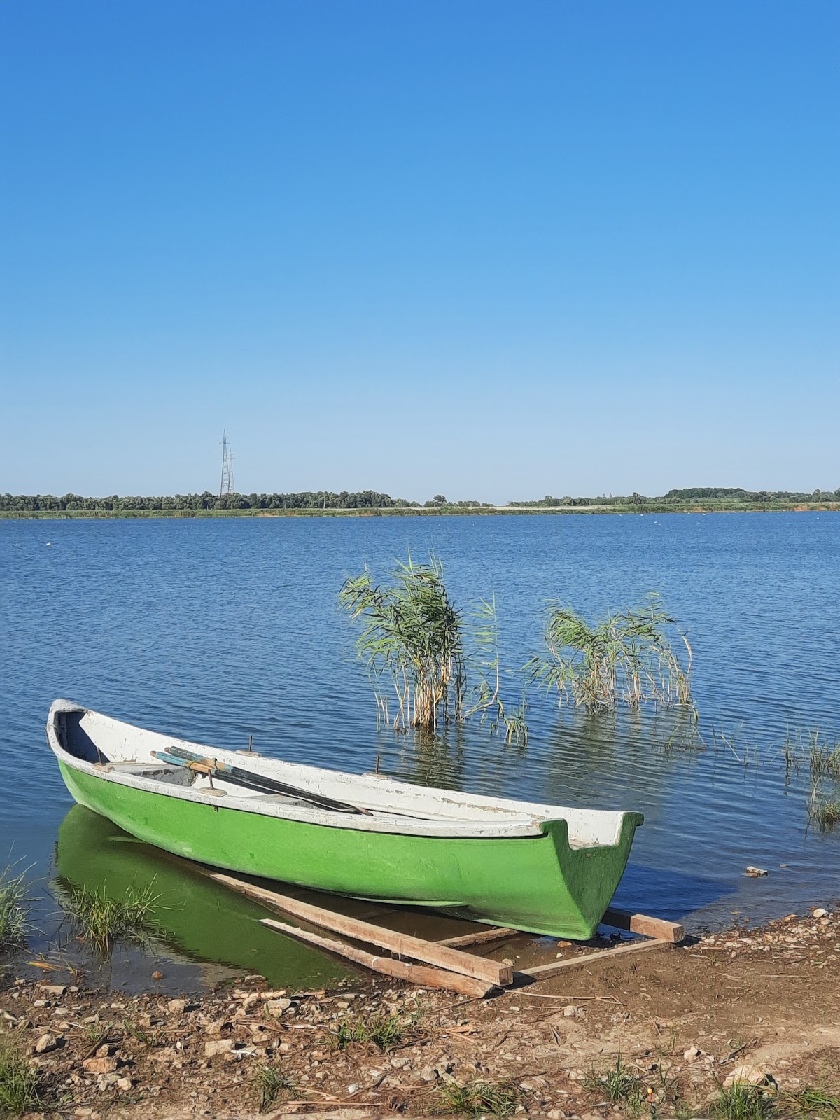 Faleza Murighiol - foto 5