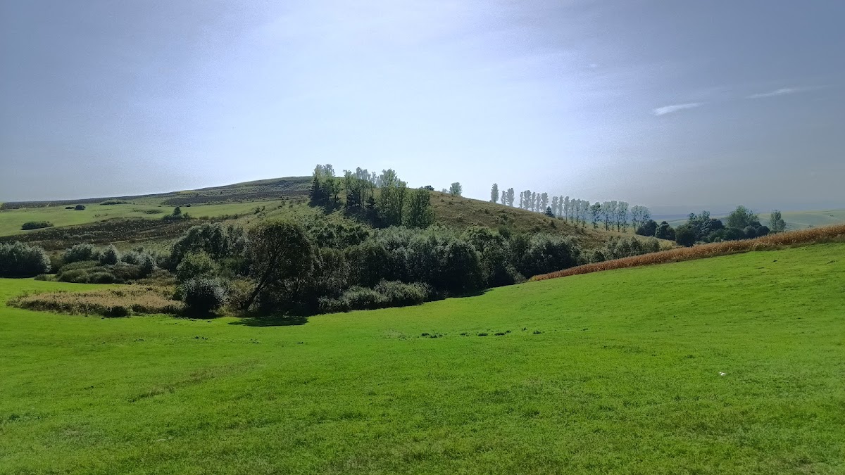 Fânaţele seculare Ponoare - foto 1