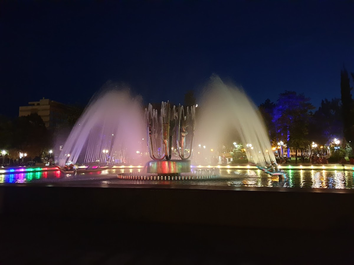 Fontana Cinetica - foto 2