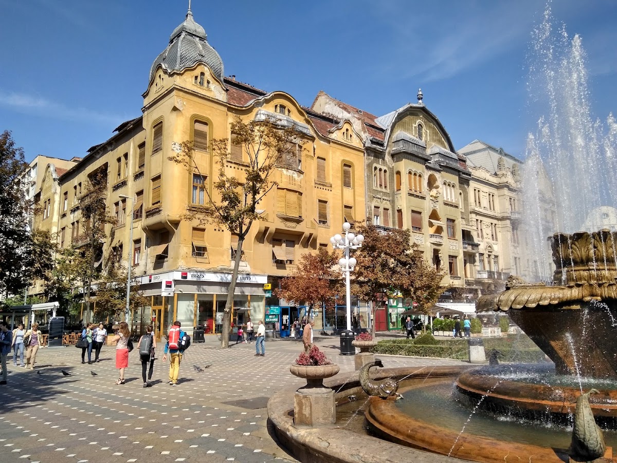 Fântâna cu Pești, Timişoara