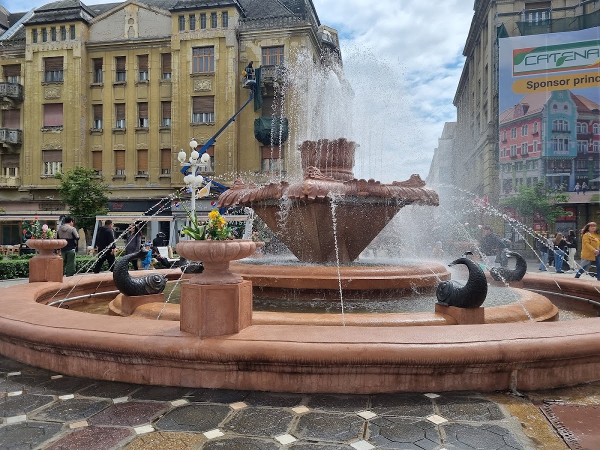 Fântâna cu Pești - foto 4