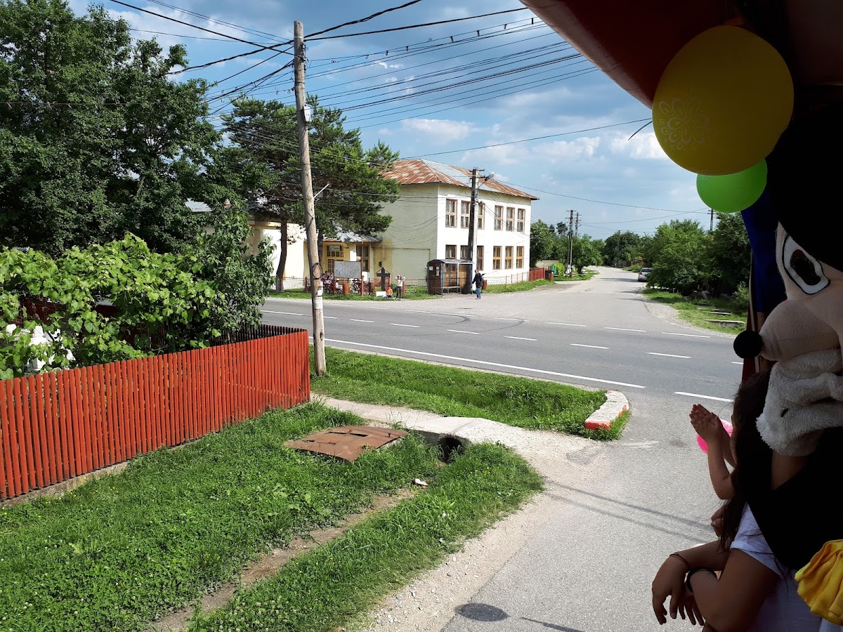 Fantana Gura Ocnitei - foto 2