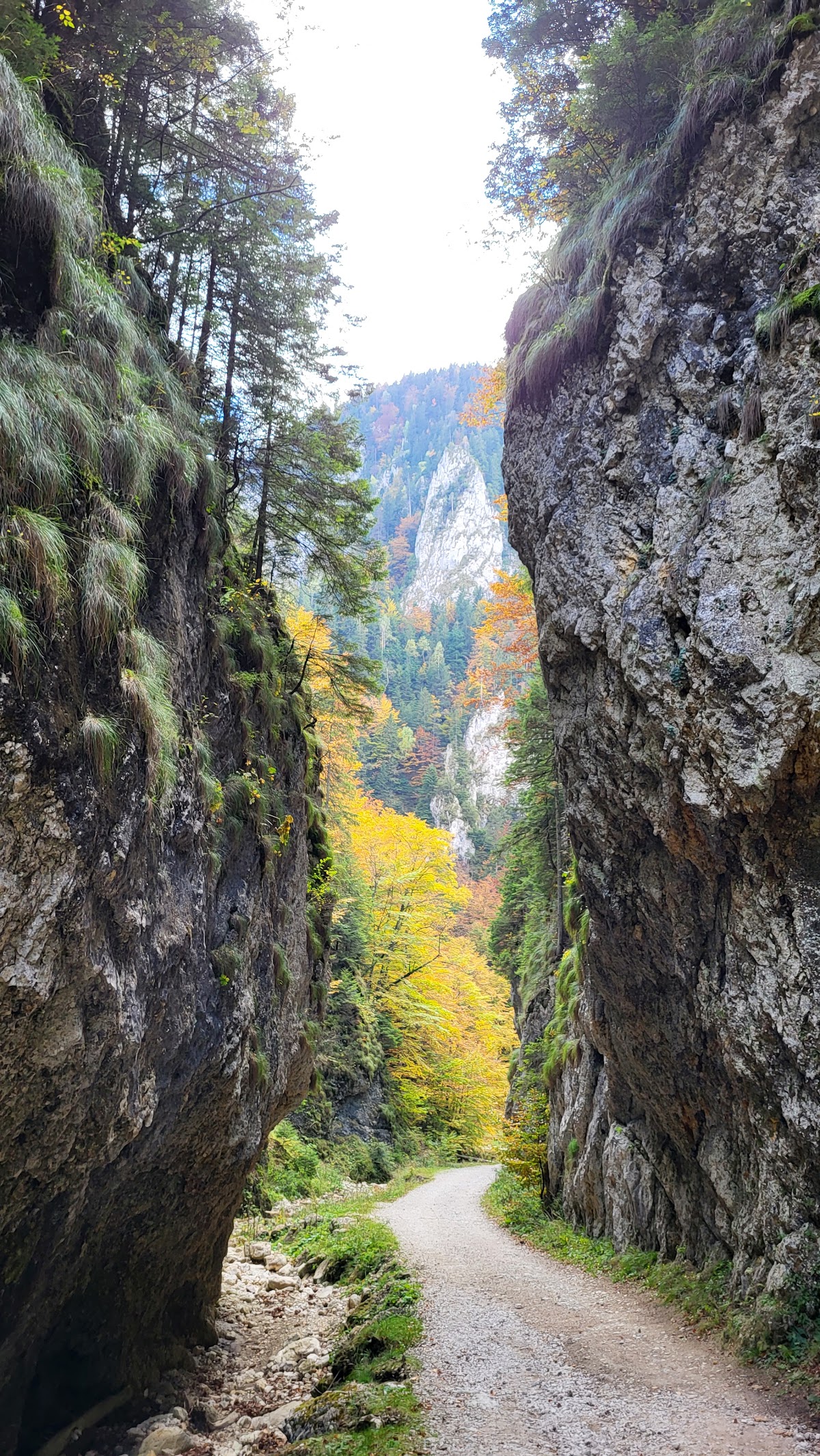 Fântâna lui Botorog - foto 1