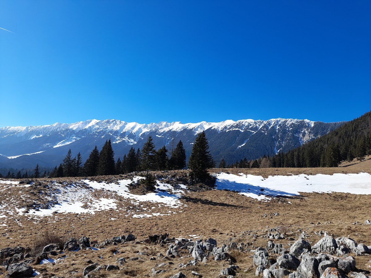 Fântâna lui Botorog - foto 2