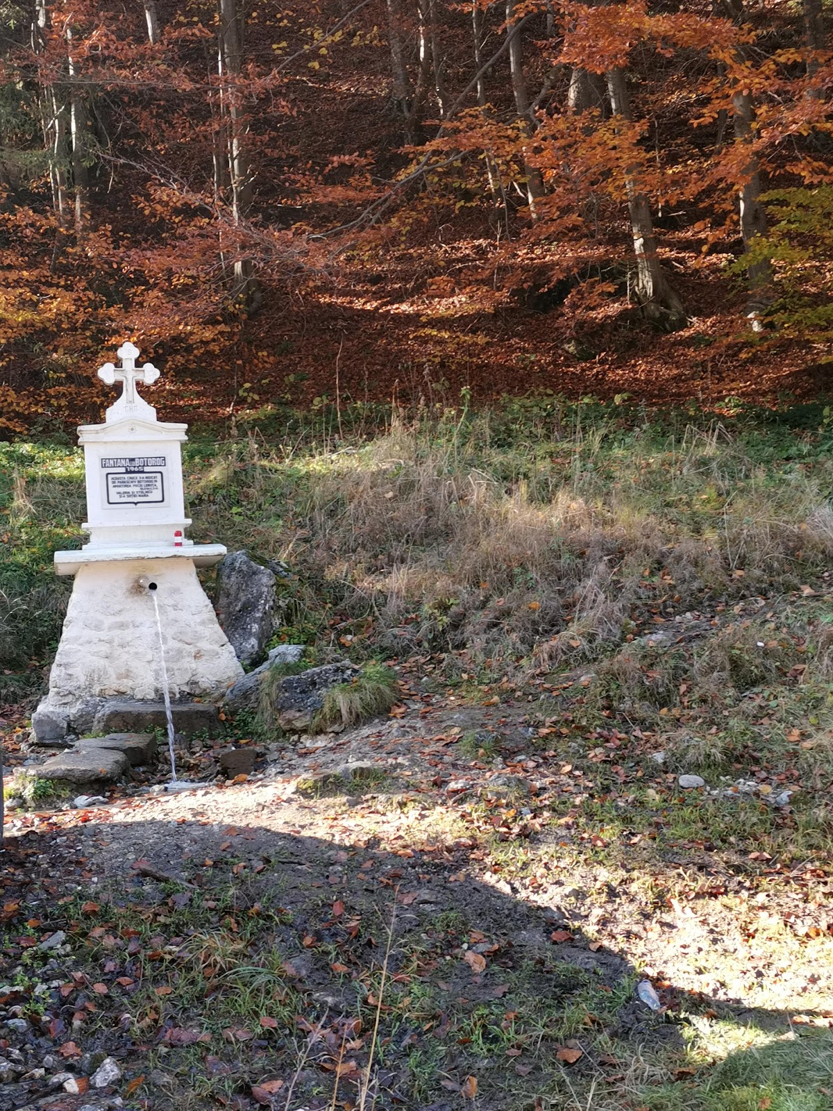 Fântâna lui Botorog - foto 3