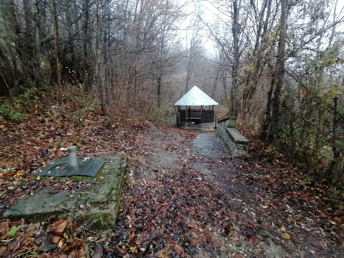 Gogon-kút - foto 2