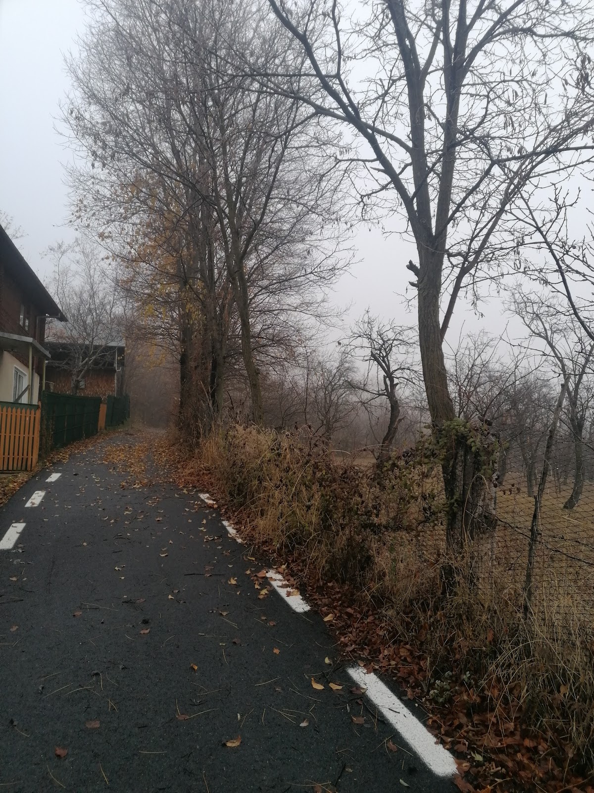 Gogon-kút - foto 3