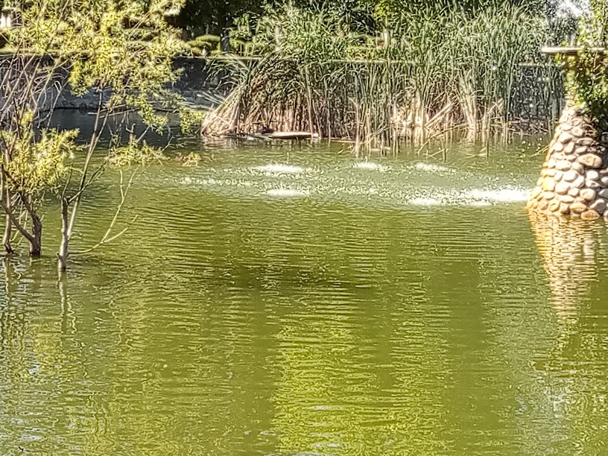 Fântâna lui Manole - foto 4