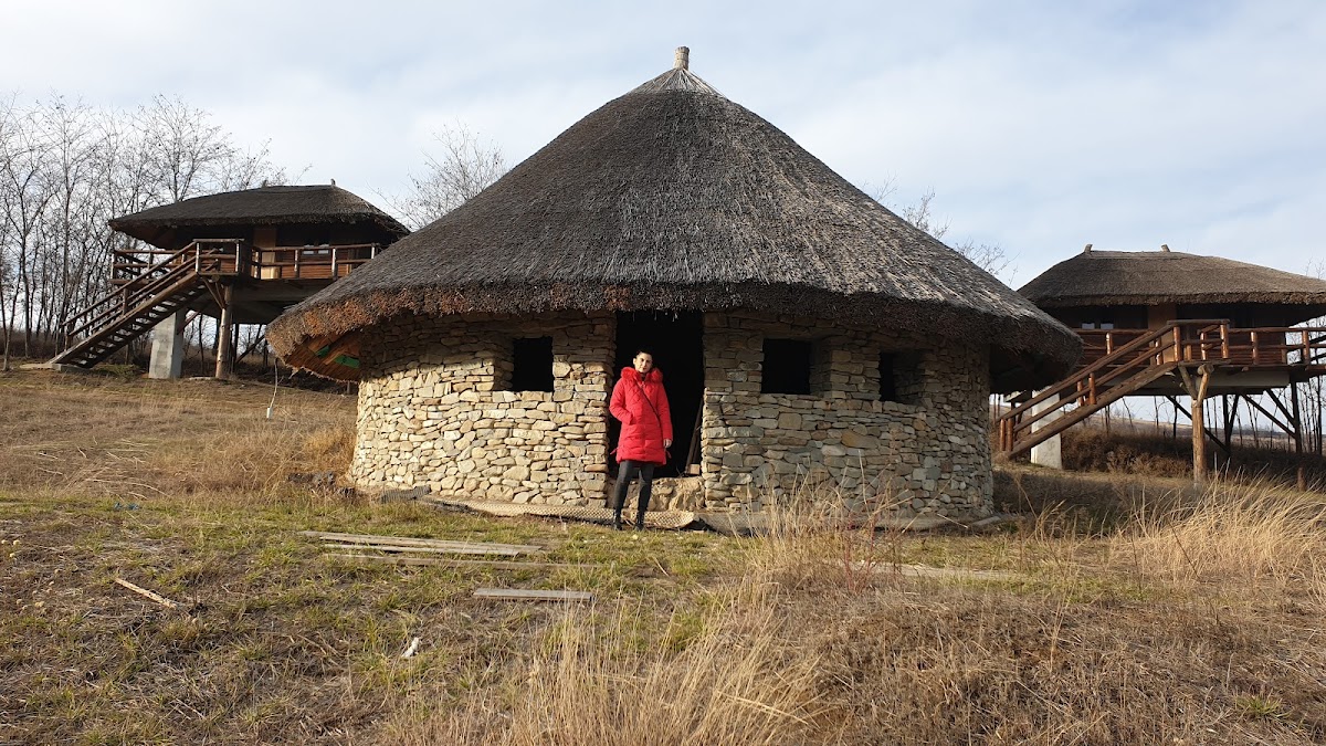 Ferma Dacilor - foto 2