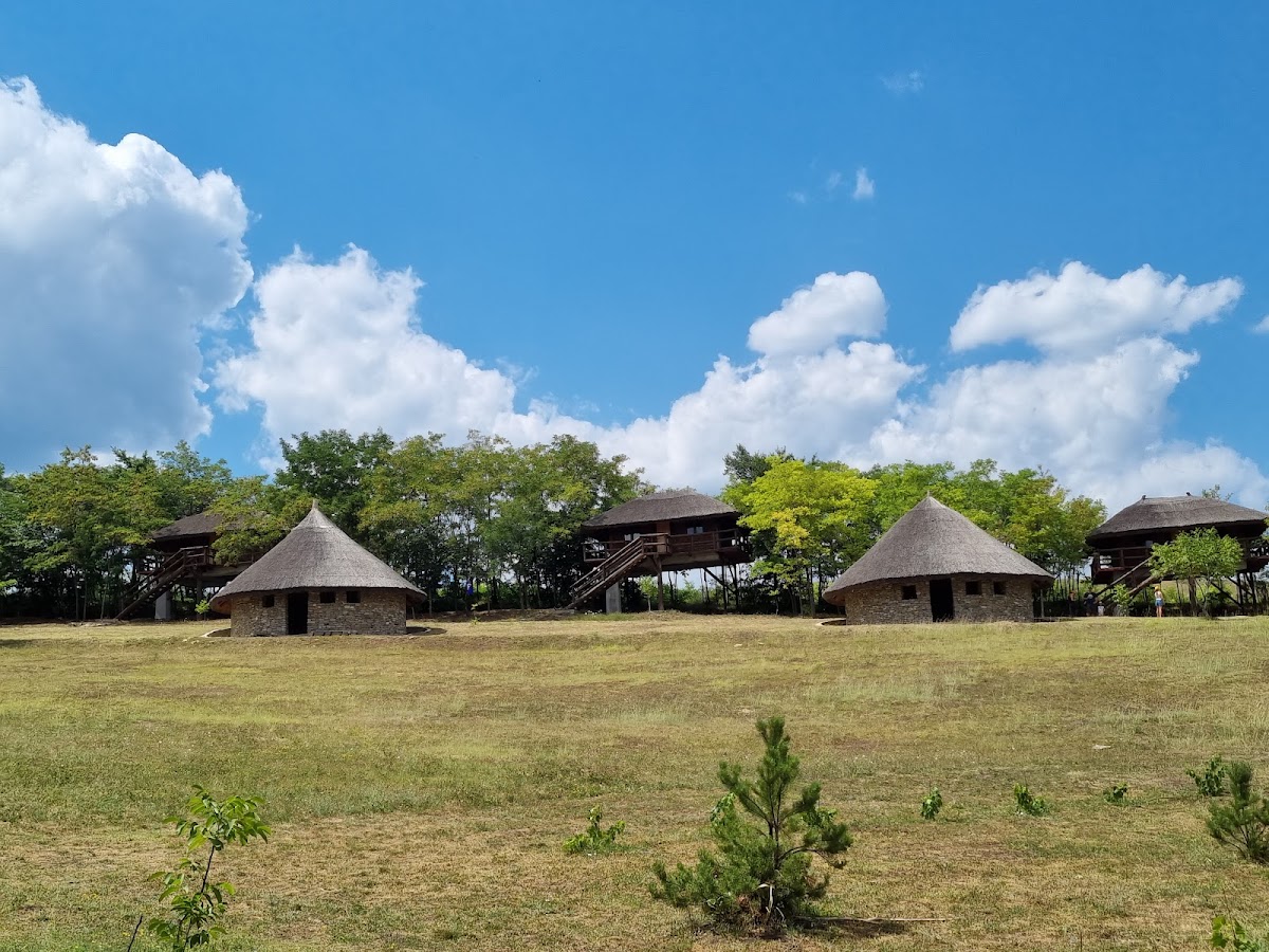 Ferma Dacilor - foto 3