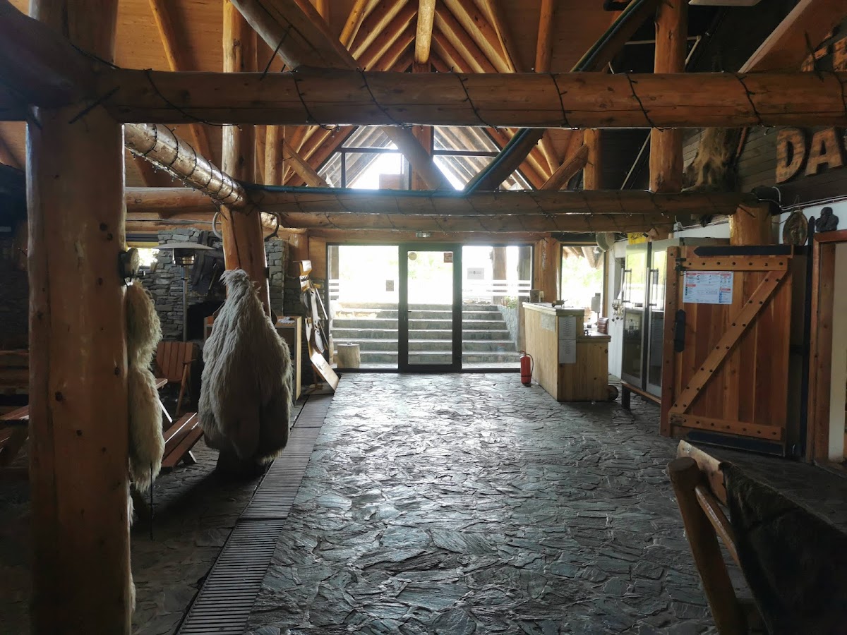 Ferma Dacilor - foto 4