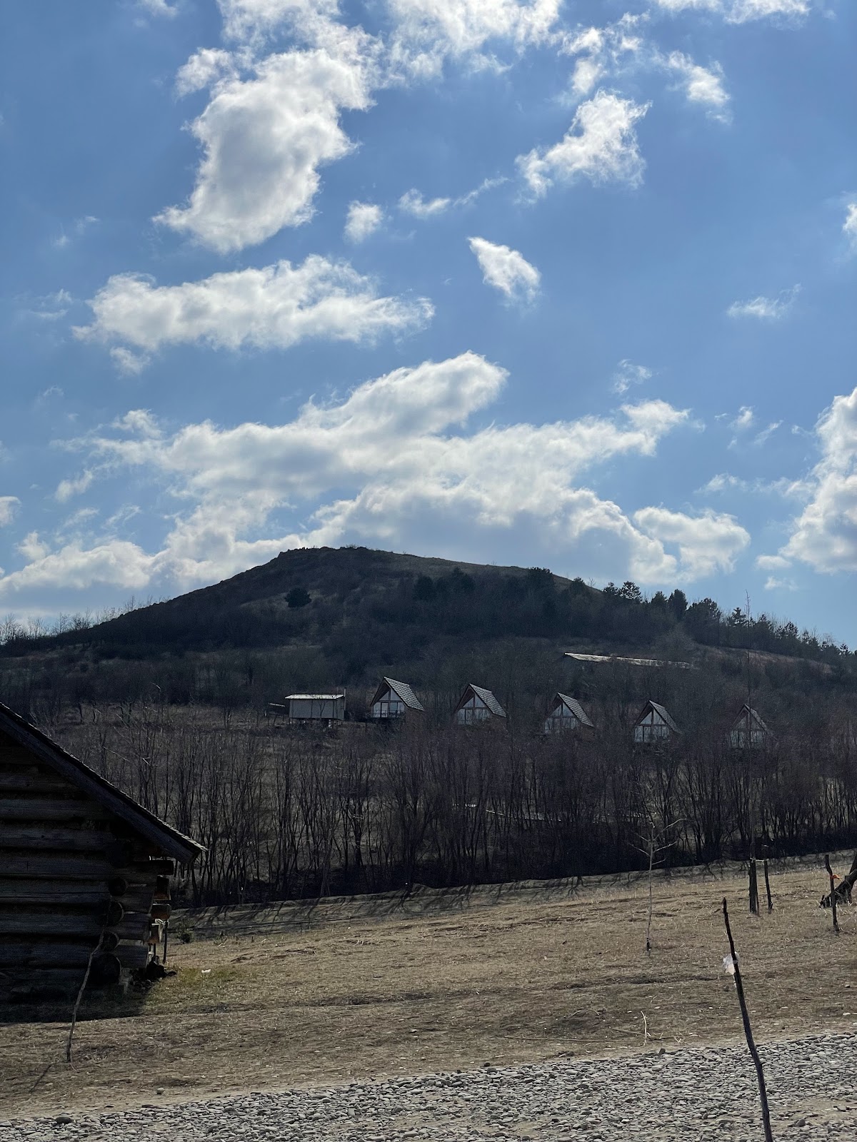 Ferma Dacilor - foto 5