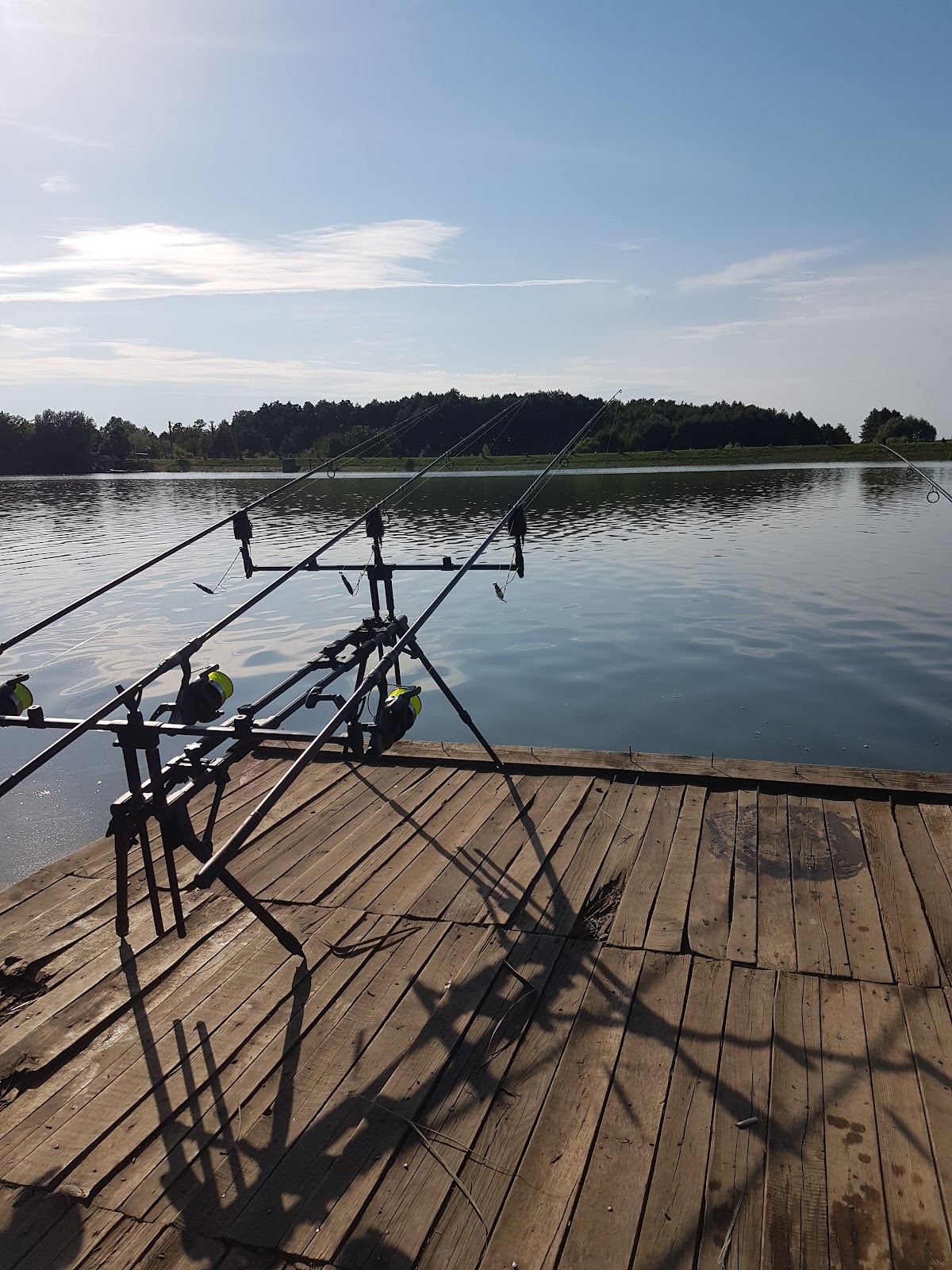 Ferma de Crap Diosig - foto 2