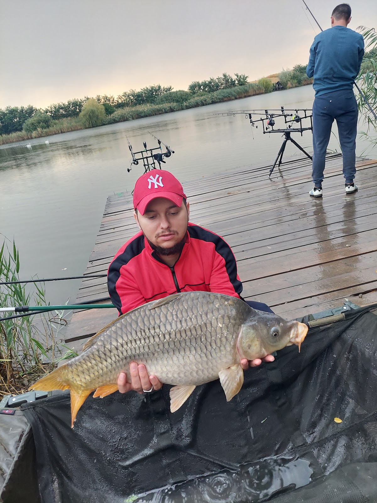 Ferma de Crap Diosig - foto 3